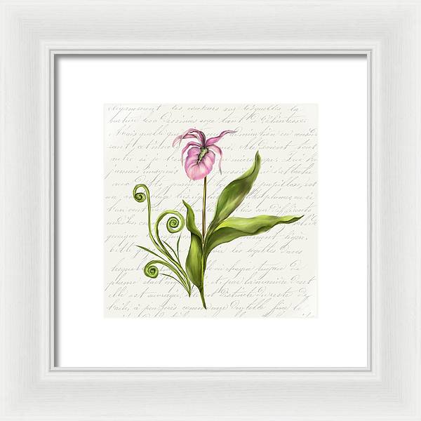 Summer Blooms - Lady Slipper - Framed Print